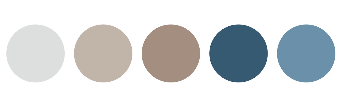 a blue and grey color palette with five different colored circles